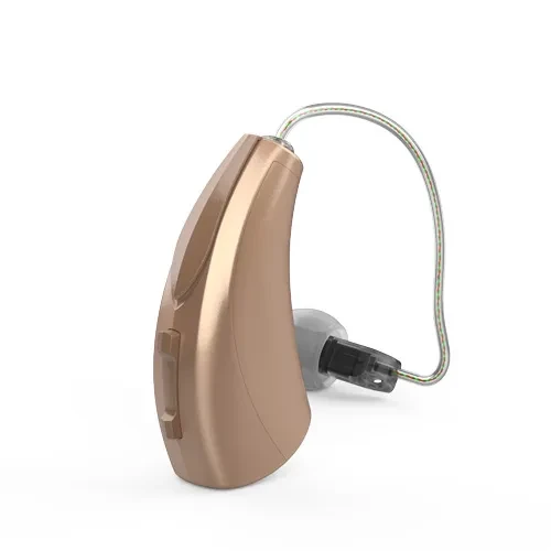 Starkey Livio Edge AI RIC